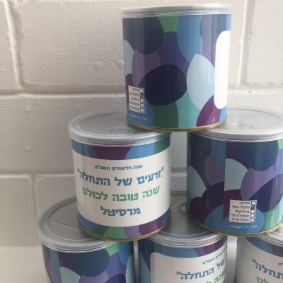 עציץ לפתיחת שנה זרעים של התחלה